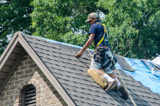 Best Residential Roofing Contractor  in Notre Dame, IN
